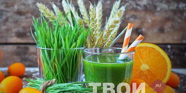 сок из ростков пшеницы
