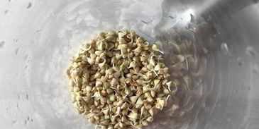 томатный сок с зеленой гречкой, сельдереем и сметаной