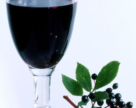 Вино из черемухи