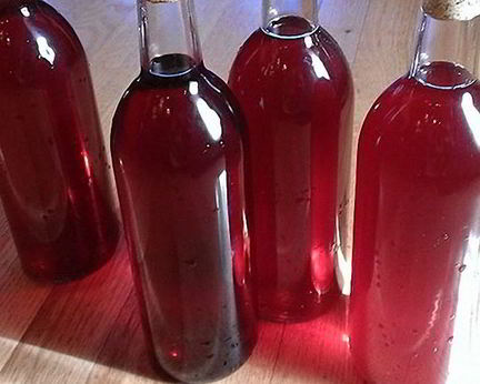 Вино из черноплодки