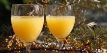 вино из облепихи