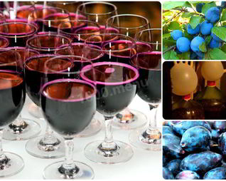 Вино из сливы с сахаром