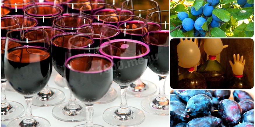 Рецепт вина из сливы с сахаром