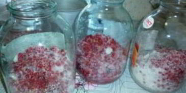 вино из смородины