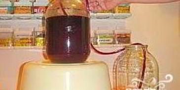 вино из смородины