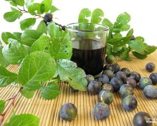 Вино из терновника