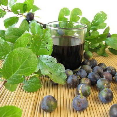 Вино из терновника