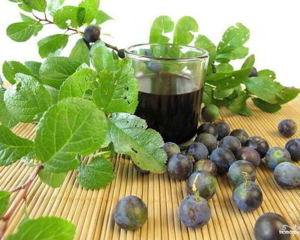 Вино из терновника