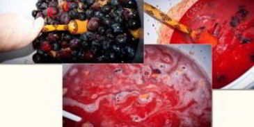 вино из терновника