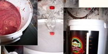 вино из терновника