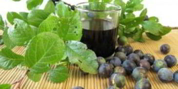 вино из терновника