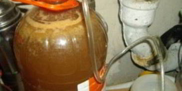 вино из яблок