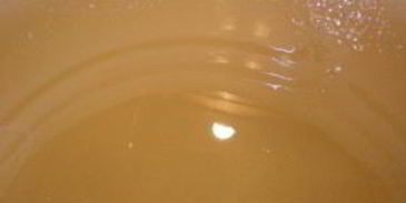 вишня в сиропе на зиму