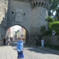 Елизавета Гайчук