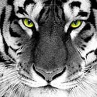 Хуцкая Аська