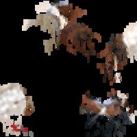 Михайлова Римма