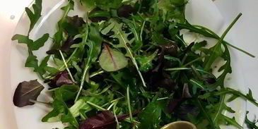 салат-гриль с сыром халуми по-гречески