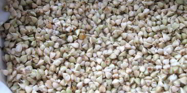 салат с проростками зеленых зерен гречихи и гранатом