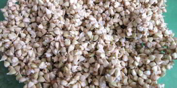 салат с проростками зеленых зерен гречихи и гранатом