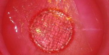 сладкий десерт оливье с маскарпоне