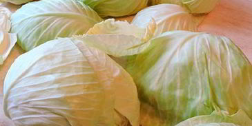 голубцы под шубой