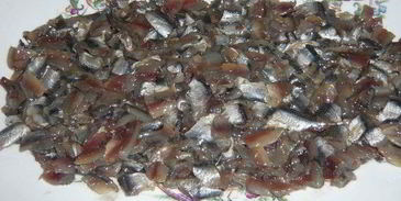 хамса под шубой