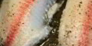 салат цезарь морской