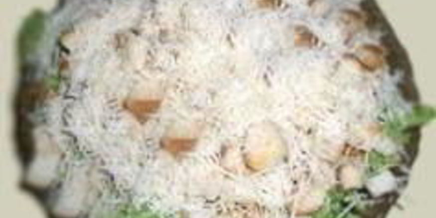 Рецепт салата цезарь с курицей и домашними сухариками