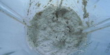 майонез из подсолнечных семечек