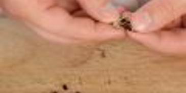 кетчуп с нектаринами