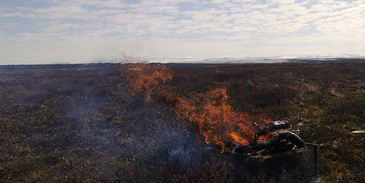 маринад луковый