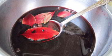 пастрома из куриной грудки в винном маринаде