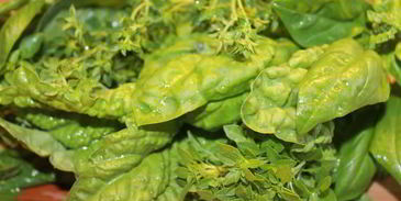 чесночно-базиликовый песто