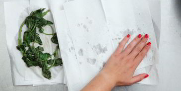 лигурийский песто