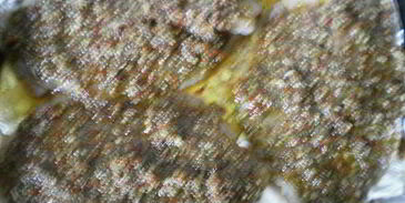 рыба запеченная с соусом песто