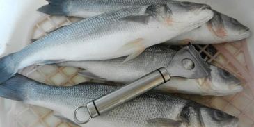 сибас, запеченый с соусом песто