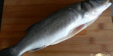 сибас, запеченый с соусом песто