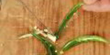 дипы для чипсов