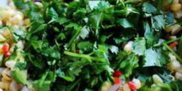 сальса из свежей кукурузы и авокадо