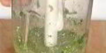 соусы сальса круда, сальса роха, сальса верде