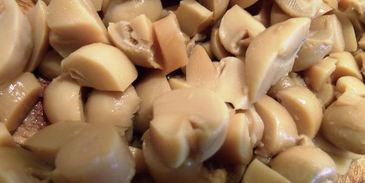 сациви из грибов