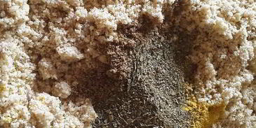 сациви по-кахетински