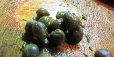 соус тартар с солеными огурчиками