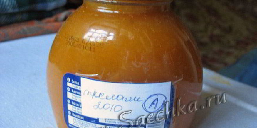 Рецепт ленивого ткемали