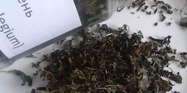 сливовый соус ткемали