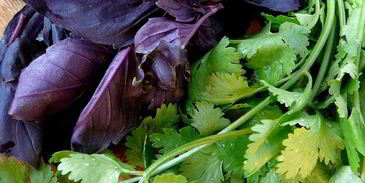 соус из слив ткемали к мясу