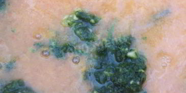 соус ткемали из слив