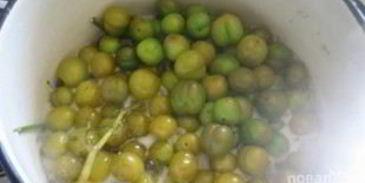 соус ткемали из зеленых слив