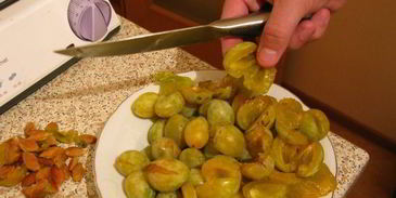 ткемали из дачных слив