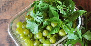 ткемали из крыжовника